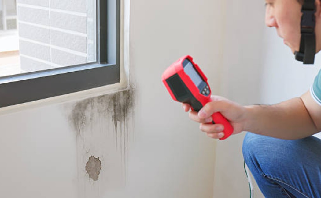 Technician using a thermal scanner to detect moisture and wall damage near a window, highlighting professional leak inspection services.